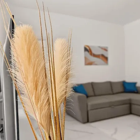 Zhelyazkova Sunny 2br Апартаменты Варна